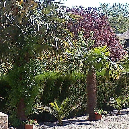 Les Clematites Du Mont Saint Michel Bed & Breakfast Pontorson