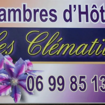 Les Clematites Du Mont Saint Michel Pontorson